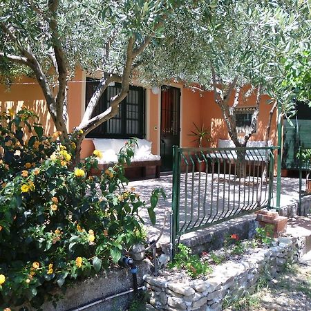 Il Vigneto "Cottage" Гаджи Номер фото