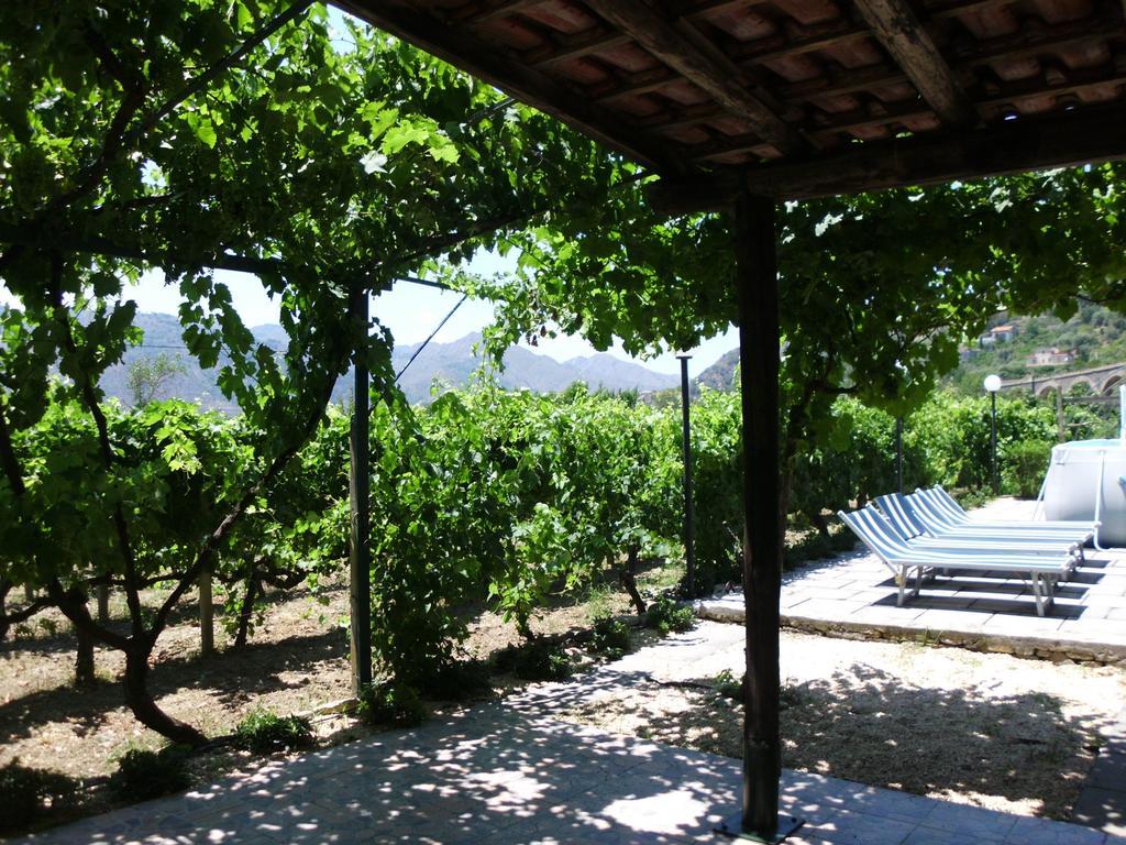 Il Vigneto "Cottage" Гаджи Номер фото